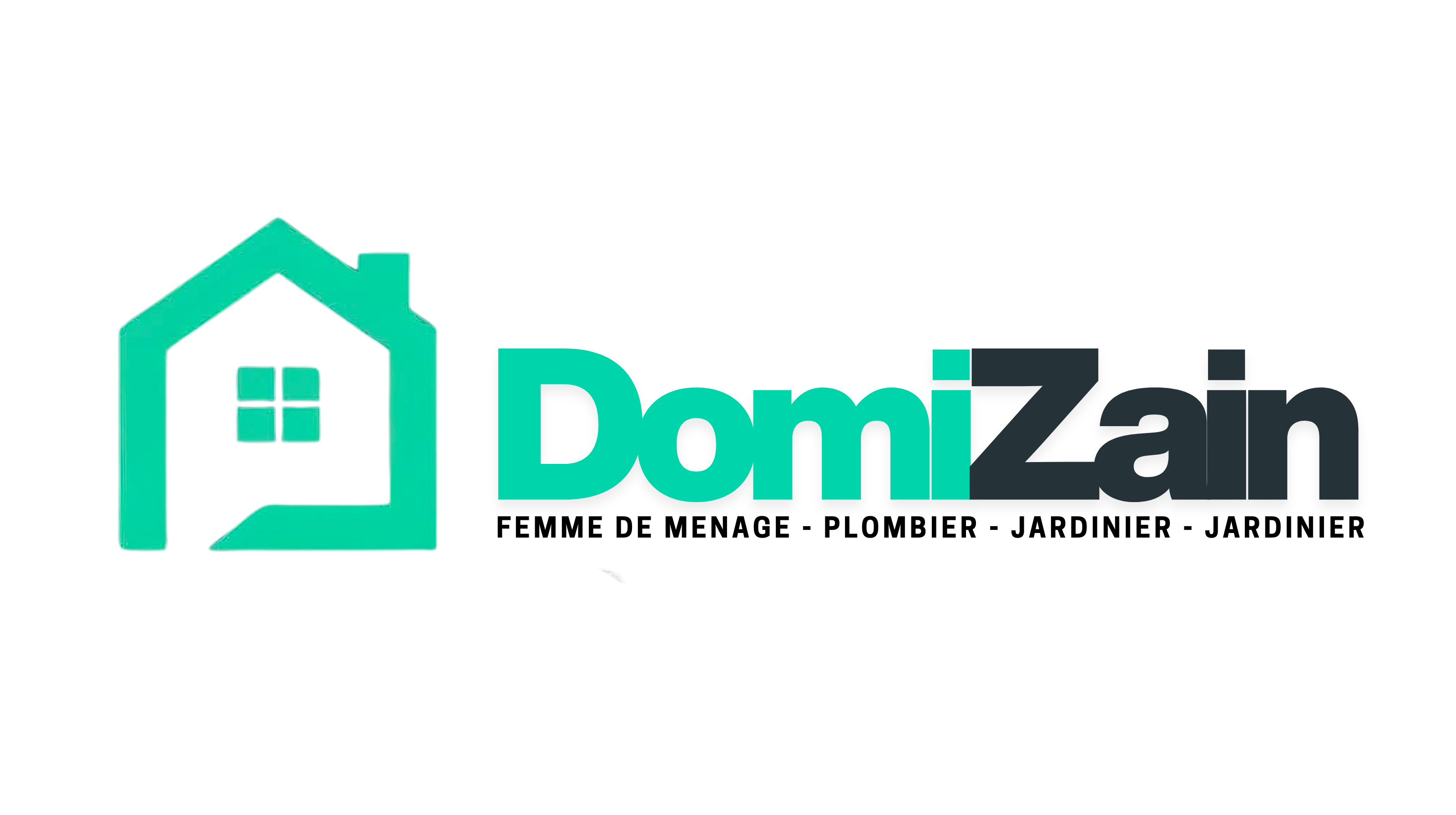 Domizain Logo